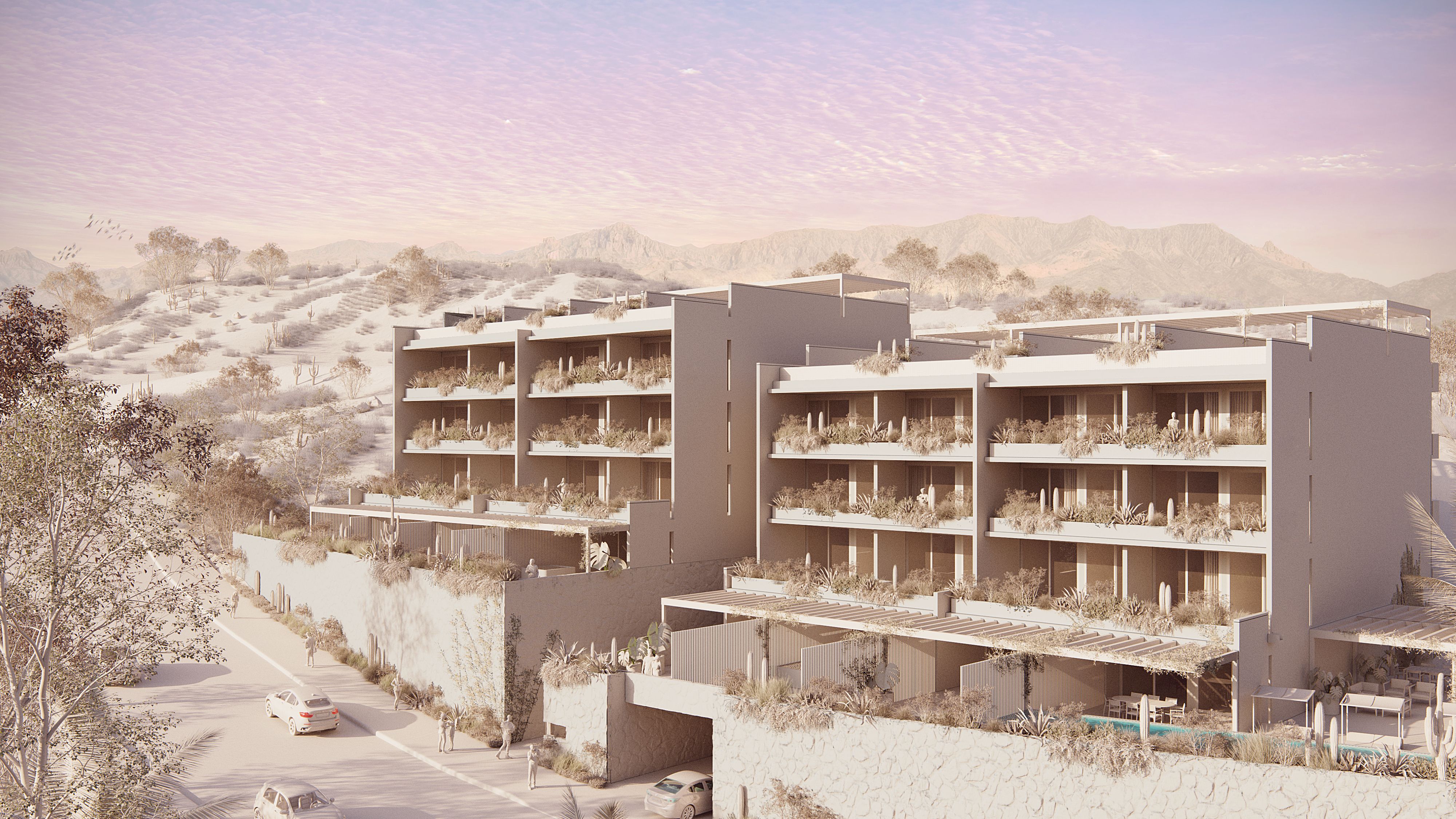 Los Cabos Conjunto OM